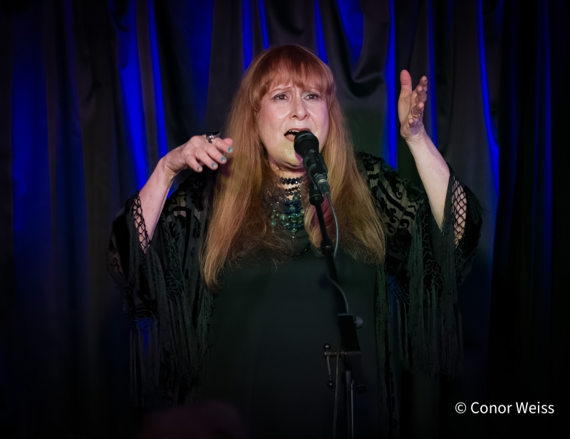 Photos: Carol Lipnik Offers Original Music In THROW DOWN A FEATHER FOR ME at Pangea 
