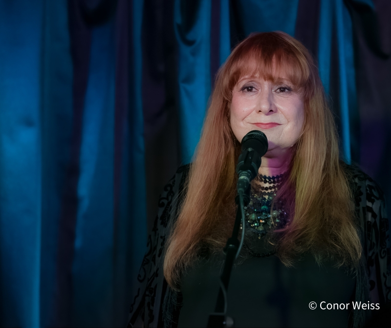 Photos: Carol Lipnik Offers Original Music In THROW DOWN A FEATHER FOR ME at Pangea Image