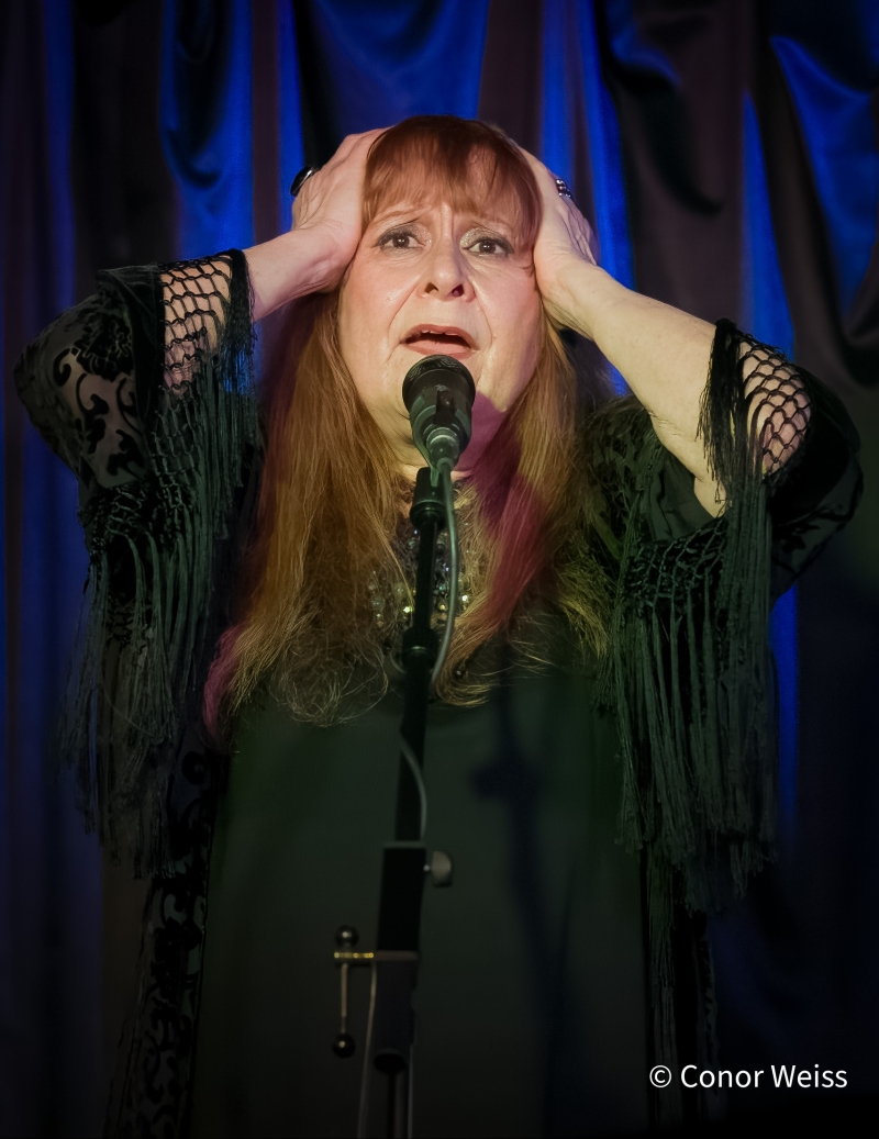 Photos: Carol Lipnik Offers Original Music In THROW DOWN A FEATHER FOR ME at Pangea 