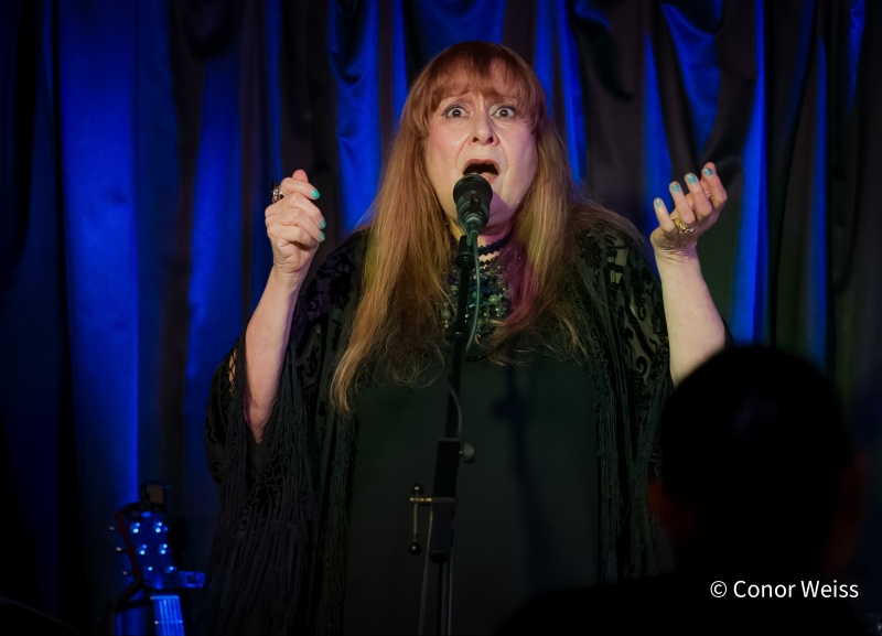 Photos: Carol Lipnik Offers Original Music In THROW DOWN A FEATHER FOR ME at Pangea Image