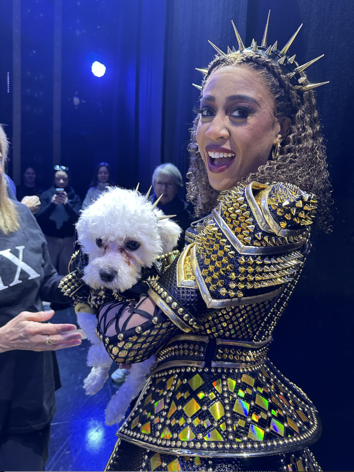 Photos: Dogs Dressed as the SIX Queens Meet the SIX Queens of Broadway Image