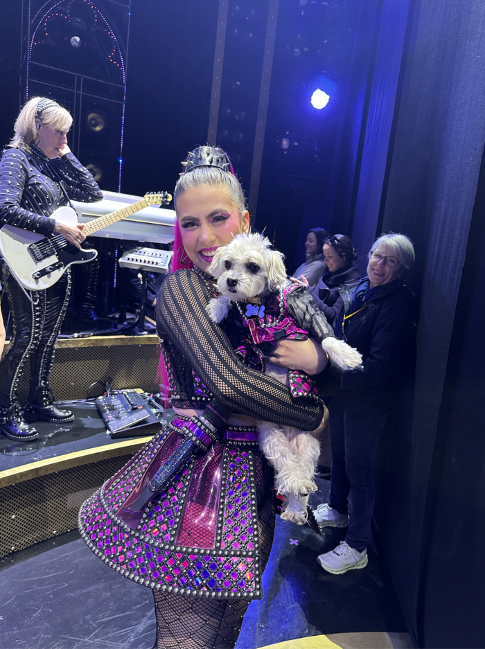 Photos: Dogs Dressed as the SIX Queens Meet the SIX Queens of Broadway Image