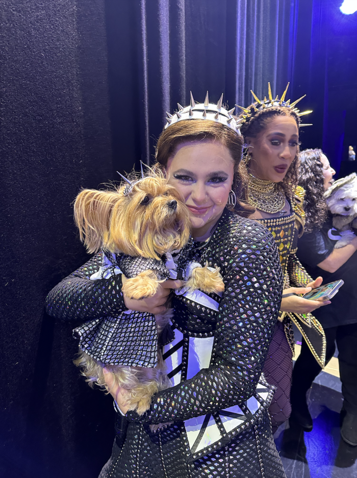 Photos: Dogs Dressed as the SIX Queens Meet the SIX Queens of Broadway Image