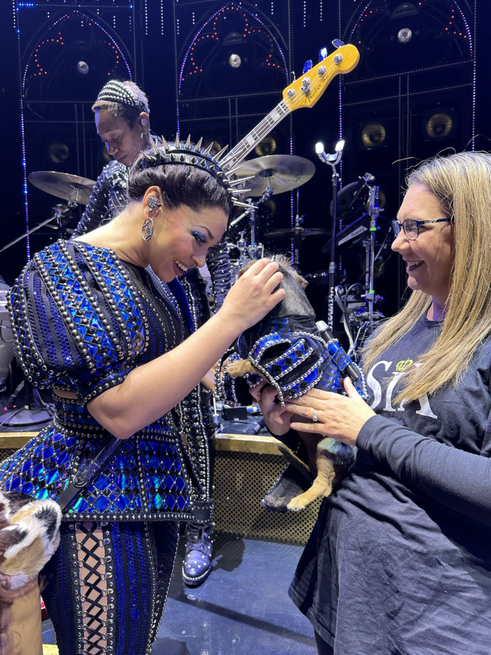 Photos: Dogs Dressed as the SIX Queens Meet the SIX Queens of Broadway Image