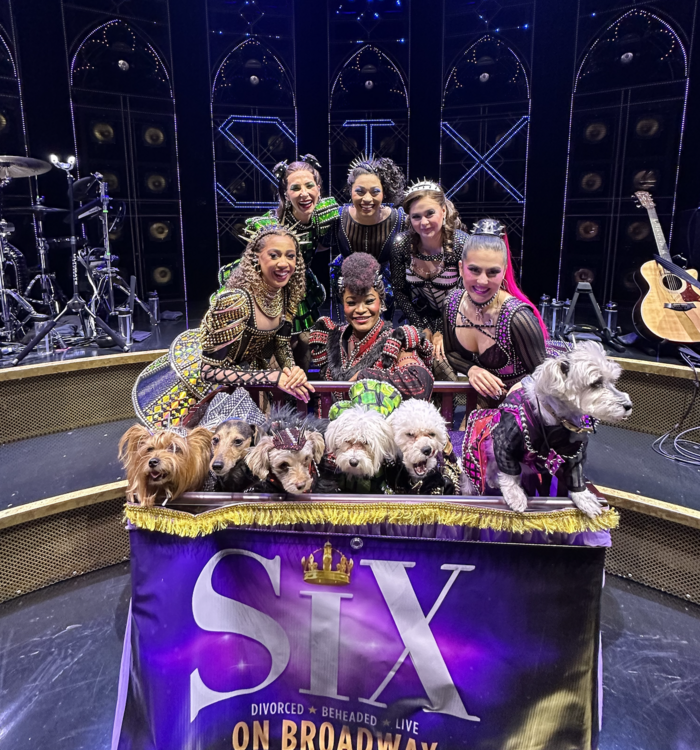 Photos: Dogs Dressed as the SIX Queens Meet the SIX Queens of Broadway Image