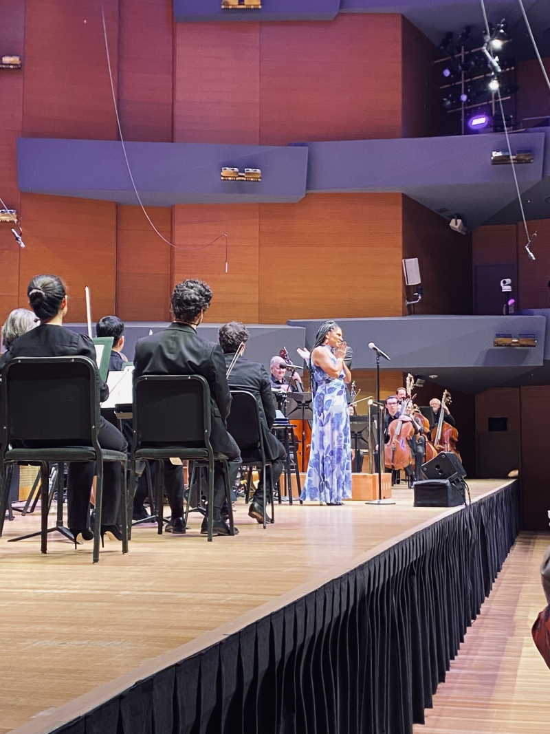 Review: AUDRA MCDONALD WITH THE MINNESOTA ORCHESTRA at Minnesota Orchestra Hall Image