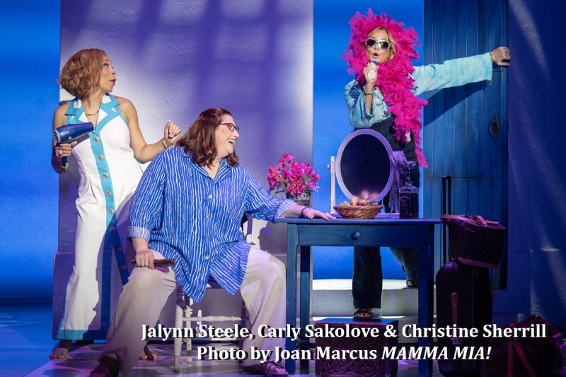 Interview: MAMMA MIA! Christine Sherrill's Happy To Be Donna Again! Image