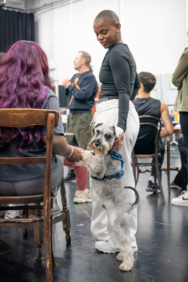 Photos: Inside Rehearsal For EVITA at Leicester's Curve Image