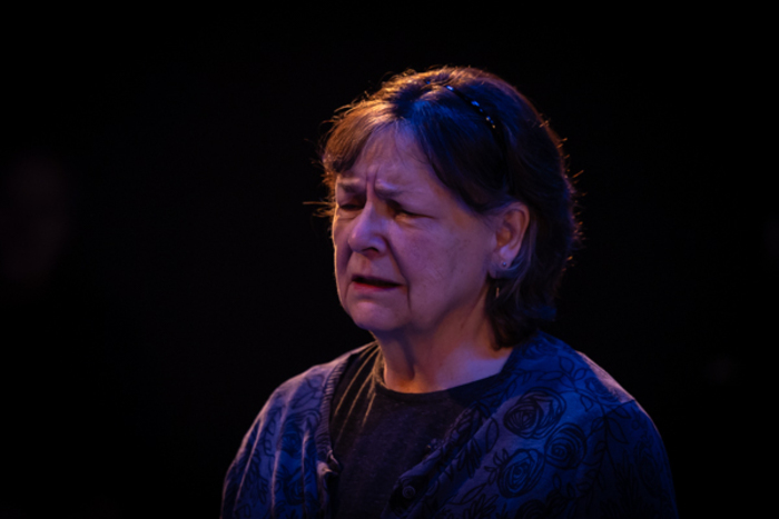 Photos: First look at New Herring Productions' THE BIRDS Image
