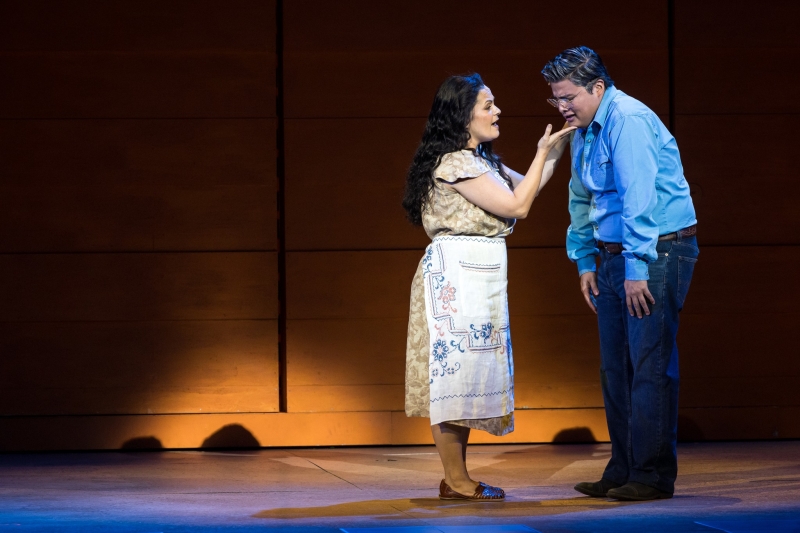 Review: CRUZAR LA CARA DE LA LUNA at Minnesota Opera Image