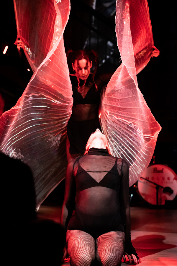 Photos: First Look At GPC Entertainment's FREAK SHOW At Chelsea Table + Stage Image