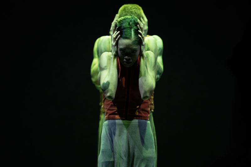 Review: 'The Jungle Book Reimagined' Takes a Dark Look at Humankind Image