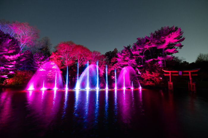 Photos: Brooklyn Botanic Garden's LIGHTSCAPE Opens to the Public Image