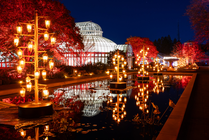 Photos: Brooklyn Botanic Garden's LIGHTSCAPE Opens to the Public Image