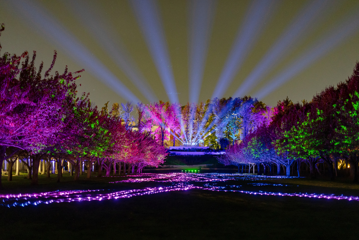 Photos: Brooklyn Botanic Garden's LIGHTSCAPE Opens to the Public Image
