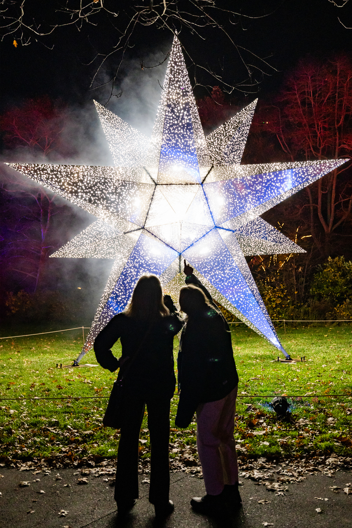 Photos: Brooklyn Botanic Garden's LIGHTSCAPE Opens to the Public Image