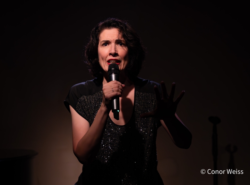 Photos: Meg Flather Continues Performances Of HAMMERSTEIN & SONDHEIM: CAREFULLY TAUGHT at Don't Tell Mama 
