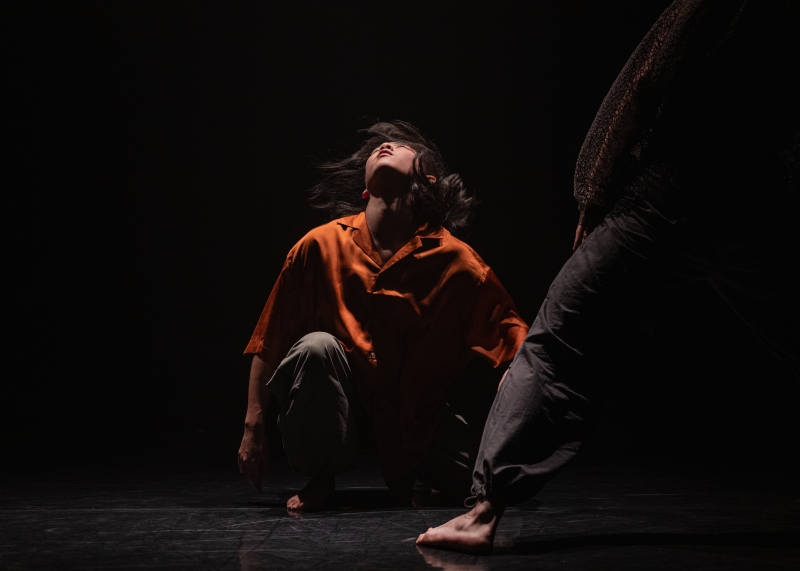 Review: YOUNG ASSOCIATES MIXED BILL, Sadler's Wells Image