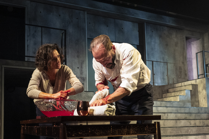 Photos: First Look at MACBETH Starring Ralph Fiennes and Indira Varma Image