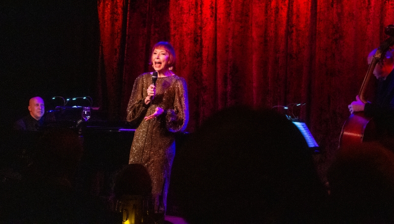 Review: “Nothing's As Fun As A One-Night-Stand” ~~ Karen Akers WATER UNDER THE BRIDGE At Birdland 