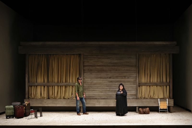 REVIEW: Andrew Upton's Adaptation Of Anton Chekov's THE SEAGULL For Contemporary Australia Is Challenged. Image