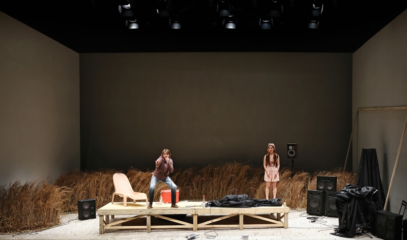 REVIEW: Andrew Upton's Adaptation Of Anton Chekov's THE SEAGULL For Contemporary Australia Is Challenged. Image