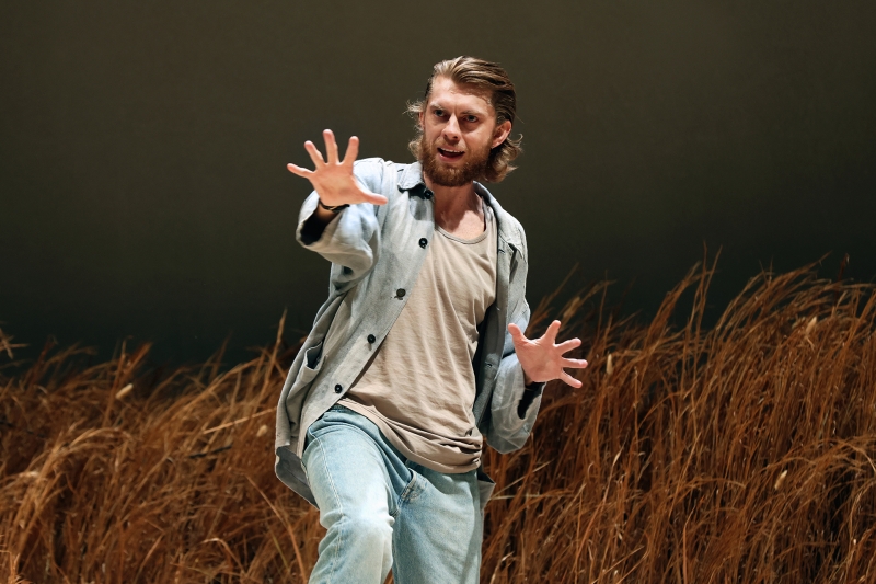 REVIEW: Andrew Upton's Adaptation Of Anton Chekov's THE SEAGULL For Contemporary Australia Is Challenged. Image