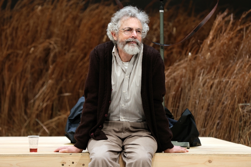 REVIEW: Andrew Upton's Adaptation Of Anton Chekov's THE SEAGULL For Contemporary Australia Is Challenged. Image