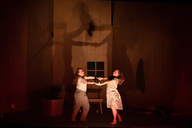 Review: DIRTY BIRDS at Heath Ledger Theater Image