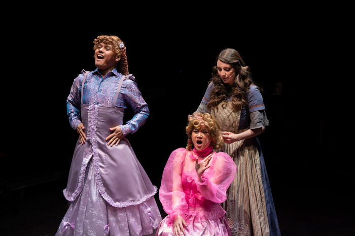 Photos: First Look At INTO THE WOODS At New Jewish Theatre Image