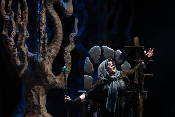 Photos: First Look At INTO THE WOODS At New Jewish Theatre Image