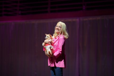 Review: LEGALLY BLONDE: Time to Get Serious with You 