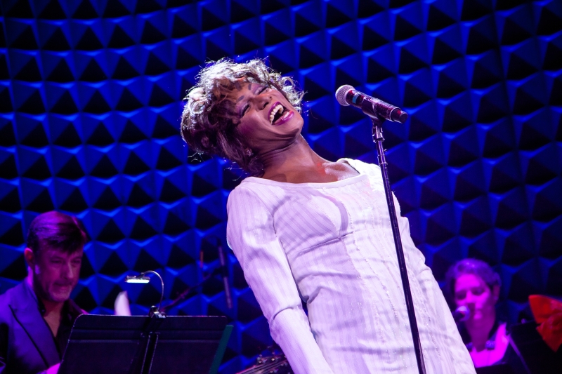 Photos: The Gasp Collection Image