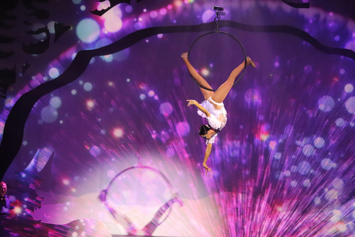 Photos: Create Memories To Cherish Forever at CIRQUE MUSICA HOLIDAY WONDERLAND Image