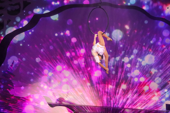 Photos: Create Memories To Cherish Forever at CIRQUE MUSICA HOLIDAY WONDERLAND Image