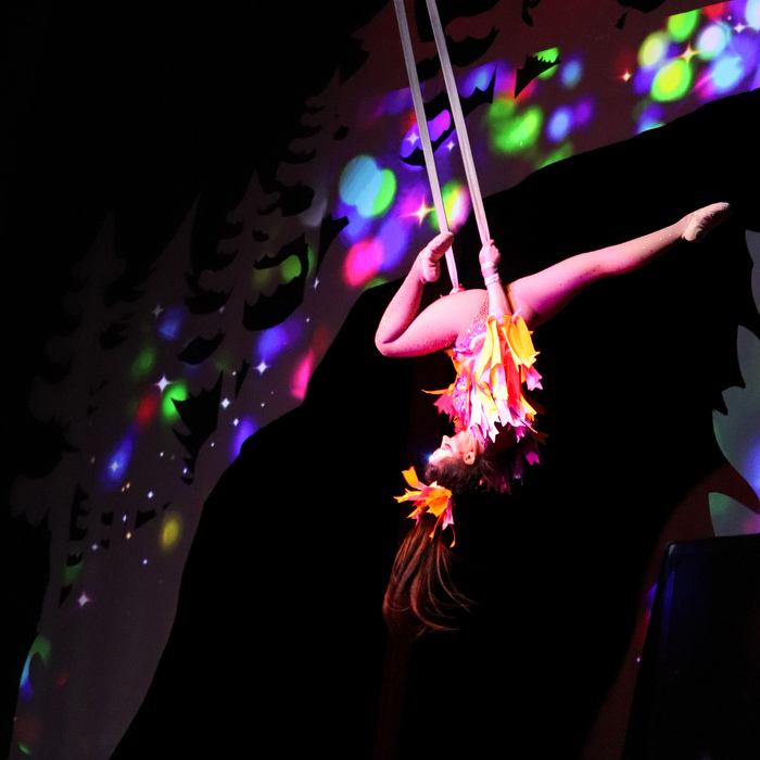 Photos: Create Memories To Cherish Forever at CIRQUE MUSICA HOLIDAY WONDERLAND Image