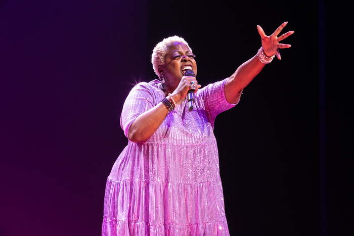 Photos: RED BUCKET FOLLIES Raises $4,553,203 For Broadway Cares/Equity Fights AIDS Image