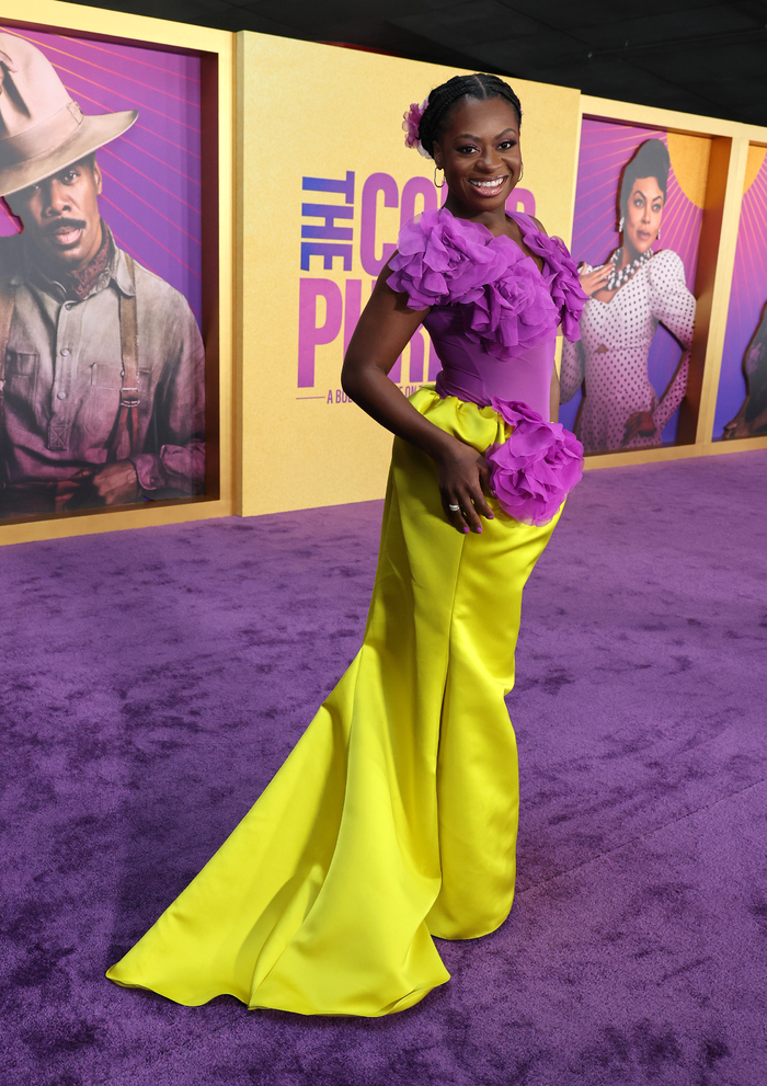 Photos: Inside THE COLOR PURPLE Premiere With Oprah Winfrey, Ariana DeBose & More Image