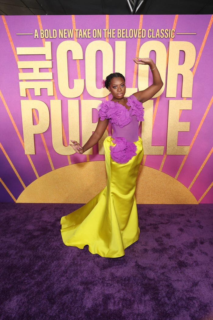 Photos: Inside THE COLOR PURPLE Premiere With Oprah Winfrey, Ariana DeBose & More Image