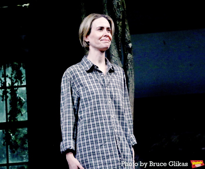 Photos: Go Inside APPROPRIATE Opening Night Curtain Call Image