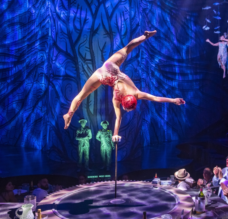Cirque du Soleil's JOYÀ Celebrates its Ninth Anniversary 