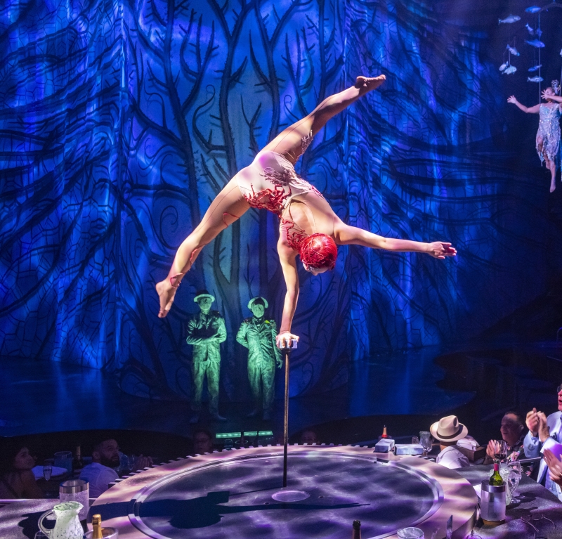 Cirque du Soleil's JOYÀ Celebrates its Ninth Anniversary Image