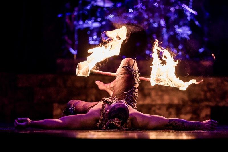 Review: ALEGRIA: IN A NEW LIGHT, Royal Albert Hall Image