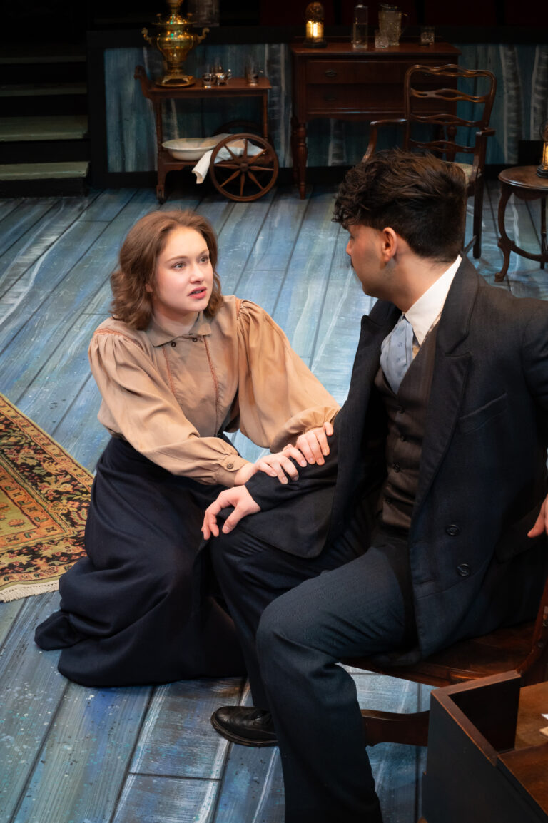Review: THE SEAGULL at Theatre In The Round Image