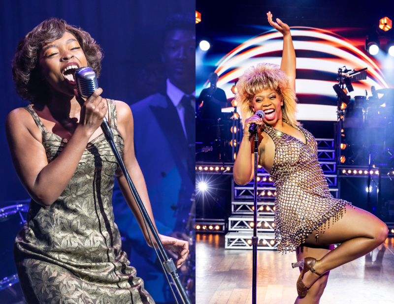 Review: TINA - THE TINA TURNER MUSICAL at Bass Concert Hall is Simply The Best! 