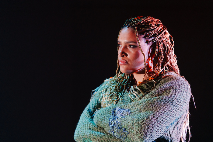 Photos/Video: First Look At the Phoenix Premiere of ISLANDER At Herberger Theater Center Image