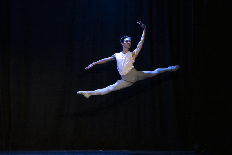 Review: ARTISTE? at Théâtre Le Grand Point Virgule Image