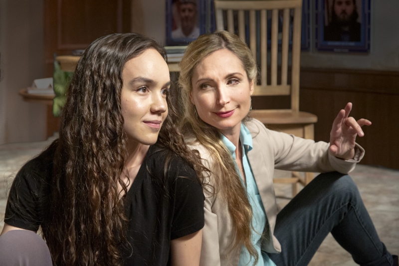 Review: WHAT THE CONSTITUTION MEANS TO ME at Dezart Performs Image