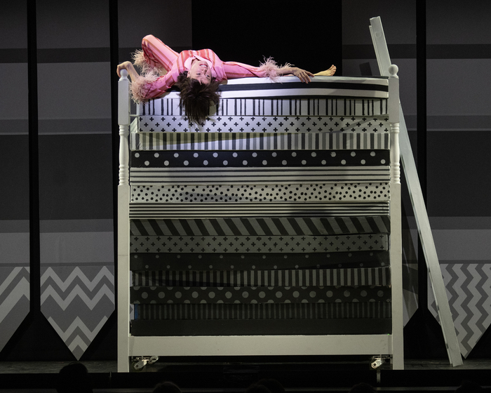 Photos: First Look at Sutton Foster, J. Harrison Ghee & More in ONCE UPON A MATTRESS Image