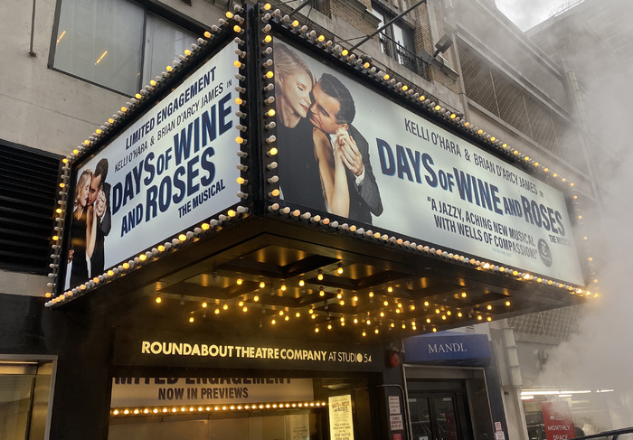 Photos: The Cast of DAYS OF WINE AND ROSES Takes Opening Night Bows Image
